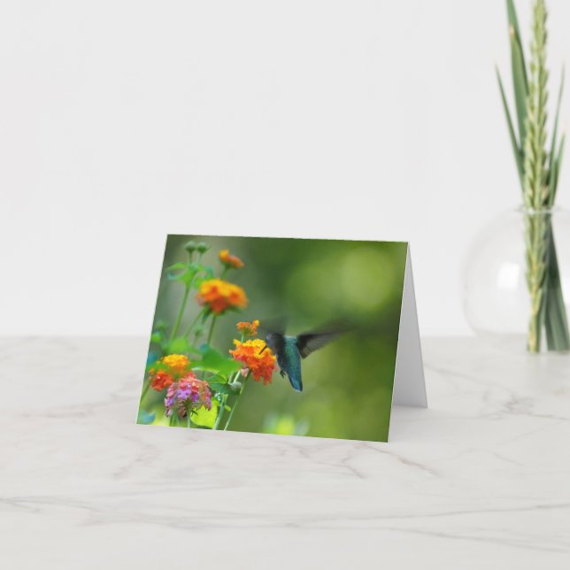 Sommer summend karte (Vorderseite)