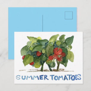 Sommer-Tomaten Obst Gemüse Garten Brieffreund Postkarte