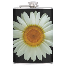 Sommer-weißes Gänseblümchen auf Schwarzem