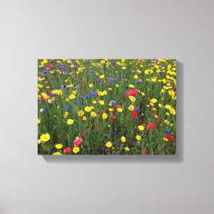 Sommer-Wildblumen von Loch Ness Leinwanddruck