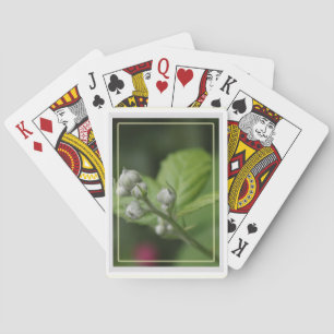 Sommer-Wildhimbeer-Blütenknospen Spielkarten