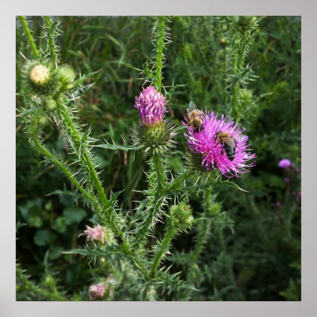 Sommeraktivität Poster (Vorne)