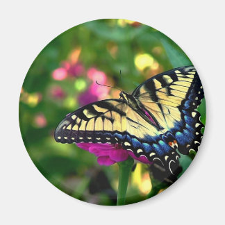 Sommerbesucher Magnet