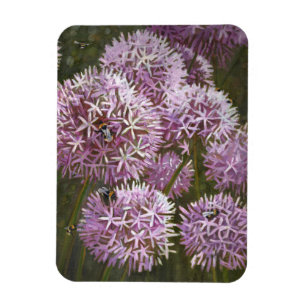 Sommerbienen 2014 magnet