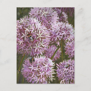 Sommerbienen 2014 postkarte