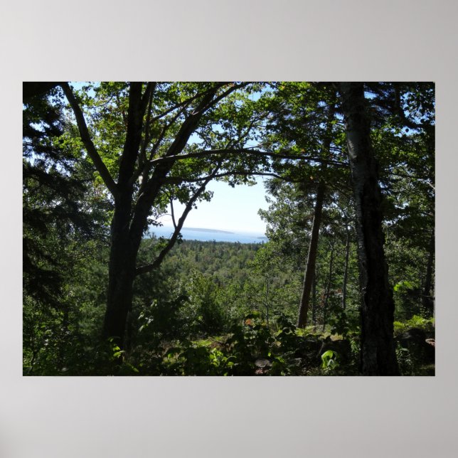 Sommerblick im Acadia Nationalpark Poster (Vorne)