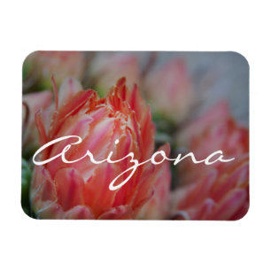Sommerblüten aus Arizona Magnet