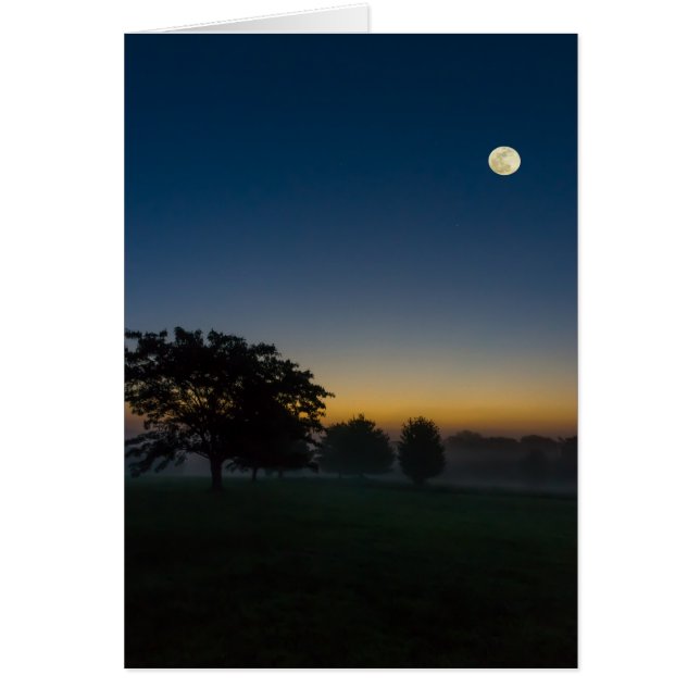 Sommerdämmerung mit Mond (Vorne)