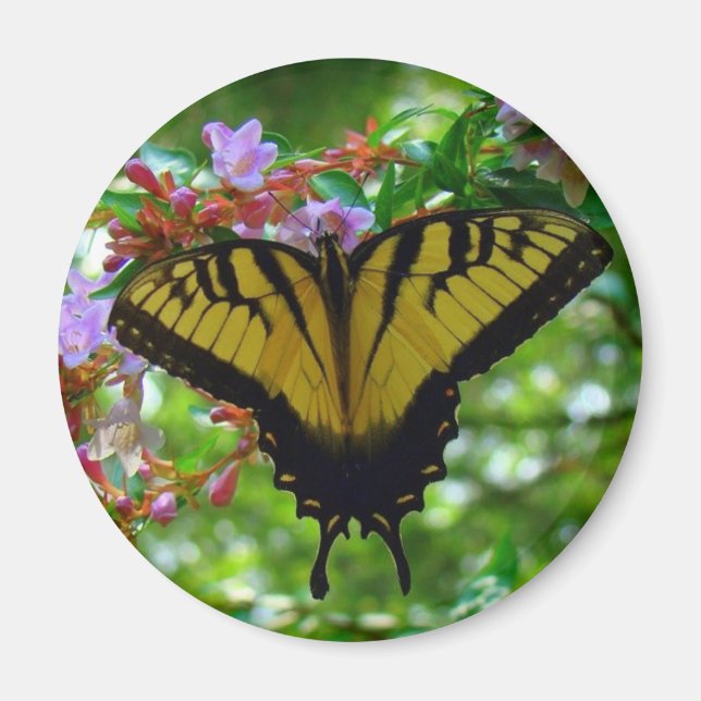 Sommerfarben Magnet (Vorne)