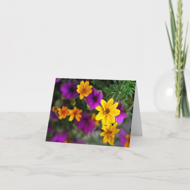 Sommerfarbenleere Mitteilungskarten (Vorderseite)