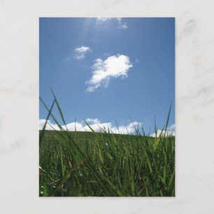 Sommerfeld Postkarte