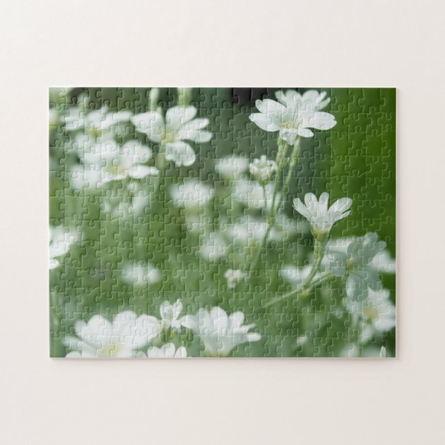 Sommerfrischer weißer Garten Blume Puzzle (Horizontal)