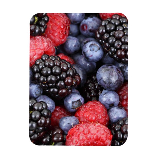 Sommerfrucht Beeren Magnet (Vertikal)