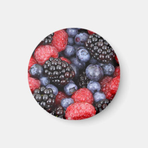 Sommerfrüchte Foto Magnet