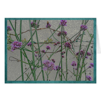 Sommergarten-Blumen #1