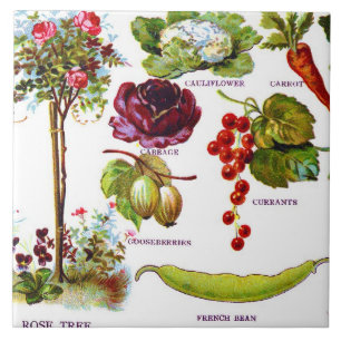 Sommergarten Botanik Fliese