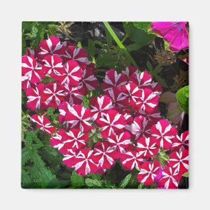 Sommergarten Magnet