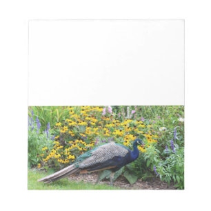 Sommergarten mit Peacock Notizblock