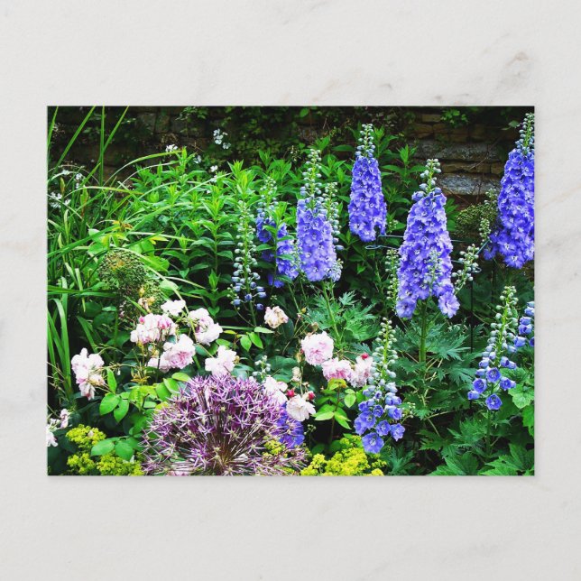 Sommergarten Postkarte (Vorderseite)