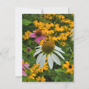 Sommergarten Postkarte
