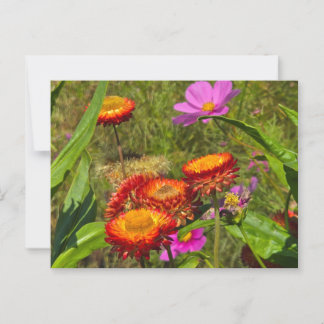Sommergarten Postkarte