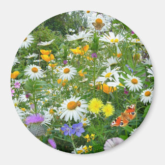 Sommergarten-Rundmagnet Magnet