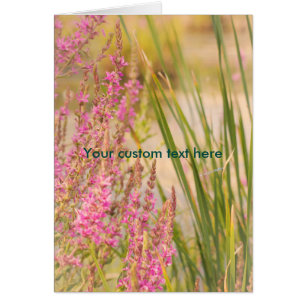 Sommergras und Blume