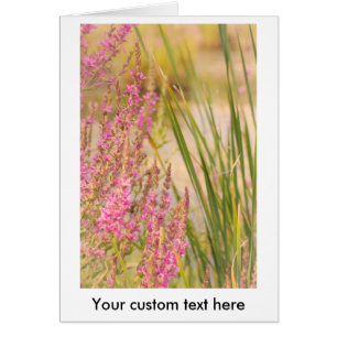 Sommergras und Blume