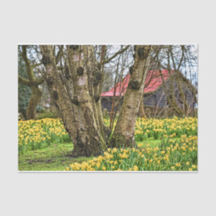 Sommerhaus Komplett, alter Baum und gelbe Blumen Seidenpapier