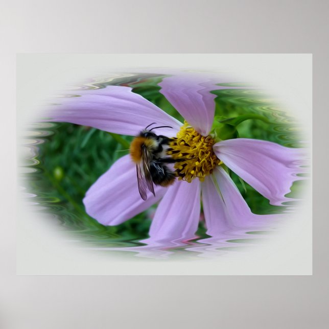 Sommerhitze Poster (Vorne)