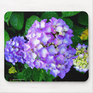 SommerHydrangea Mousepad