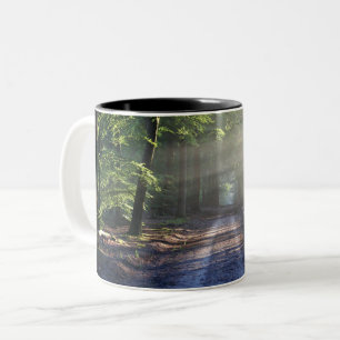 Sommerkämme, die die Schmutzstraße abdecken Zweifarbige Tasse