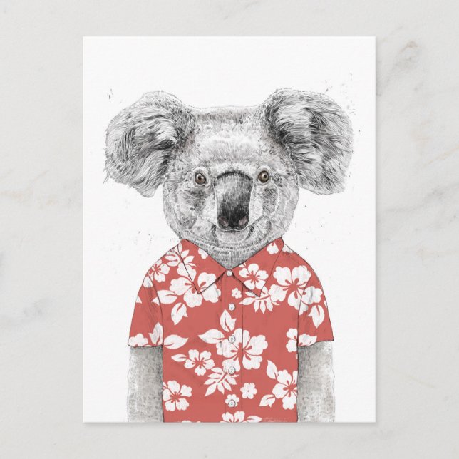 Sommerkoala (rot) postkarte (Vorderseite)