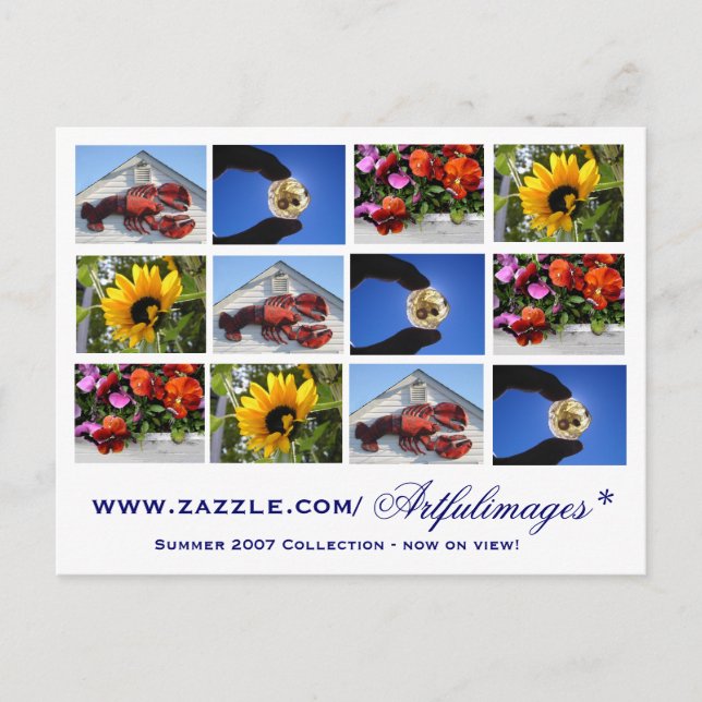 Sommerkollektion 2007 postkarte (Vorderseite)