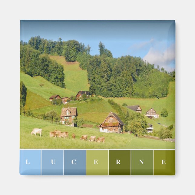 Sommerlandschaft in der Schweiz Magnet (Vorne)