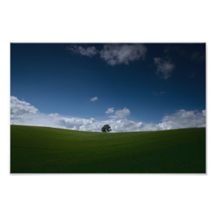 Sommerlandschaft (Old Linslade 8355)  Fotodruck