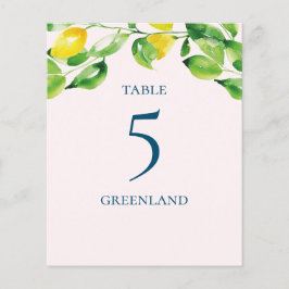 Sommerlemonen und Blattname