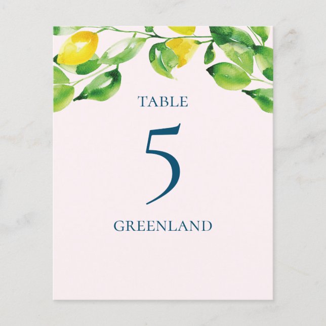 Sommerlemonen und Blattname (Vorderseite)