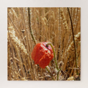 Sommerliche Blume auf dem Weizenfeld Puzzle