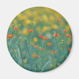 Sommerliche Blume (Blumenfeld) (Rote Blume) Magnet