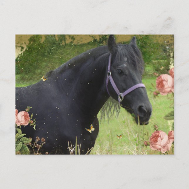 Sommerliche Blume Feiertagspostkarte (Vorderseite)