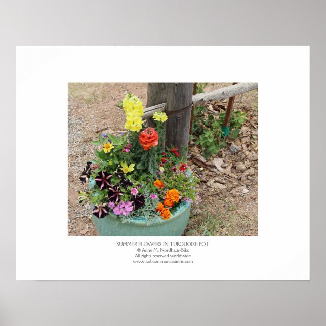 Sommerliche Blume in türkisfarbenem Pot Poster (Vorne)