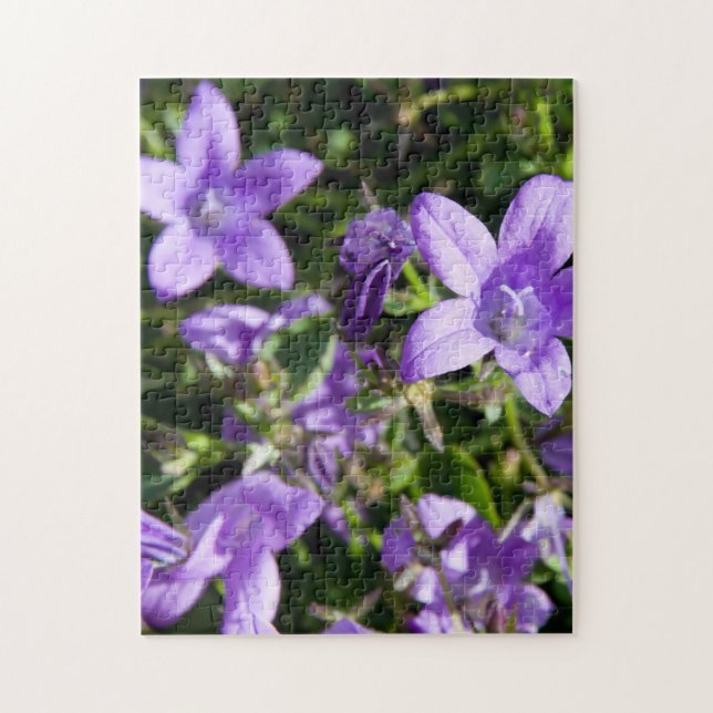 Sommerliche Blume. Jigsaws Puzzle (Vertikal)