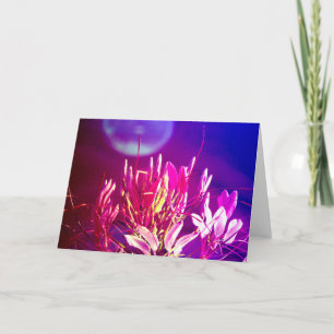 Sommerliche Blume Karte