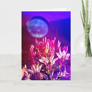 Sommerliche Blume Karte