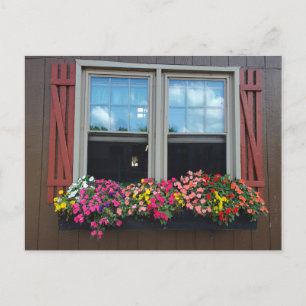Sommerliche Blume Postkarte