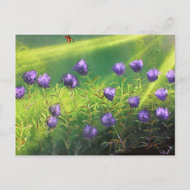 Sommerliche Blume Postkarte (Vorderseite)