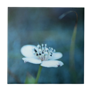 Sommerliche Erinnerungen Fliese