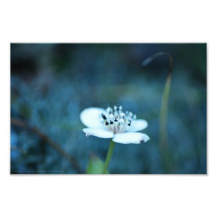 Sommerliche Erinnerungen Fotodruck