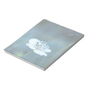 Sommerliche Erinnerungen Notizblock